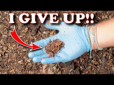 Worm Bin MELTDOWN! Why I Moved My Urban Worm Bag Indoors!