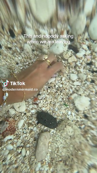 I love when I get to go shelling without having to rush 😂🫶🏽 #beach #ocean #summer #shelling #hawaiilife