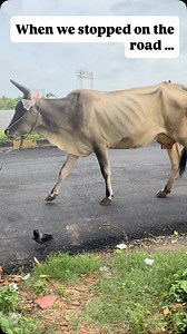 14K views · 221 reactions | When I checked the map from chennai to...