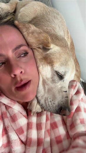 Best Snuggle Dog Moments with My Canine Companion