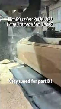The Massive $100,000 Log: Preparation Part 2