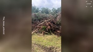 Shocking Texas Flood Aftermath Video Shows Cars Destroyed