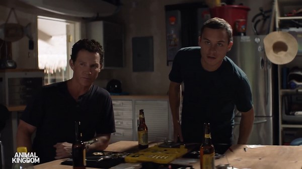 Animal Kingdom (TV Series 2016–2022)