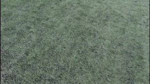 3.4K views · 65 reactions | Courtesy of the Government of Belize Press Office | Breaking Belize News | Facebook