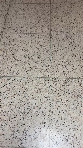 New Philadelphia Quakers on Instagram: "🧤🧣 Ever open a backpack and think, "Where did that go?!" The Lost and Found at West Elementary is FULL - all waiting to make their way back home! Do you recognize anything that belongs to your student? Way to go, West Elementary, for keeping things organized and helping return those missing treasures! 👏 #QuakerSpirit"