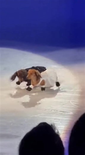 Tiny Ice Dancers Steal the Show