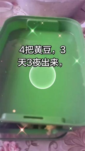 自己在家生黄豆芽，没有防腐剂，网上买的黄豆出芽率高，四把黄豆，炒一炖菜