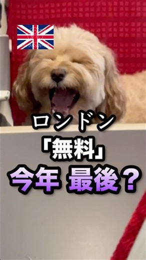🇬🇧ロンドン観光「無料」終了するかも。今年が最後のチャンス？