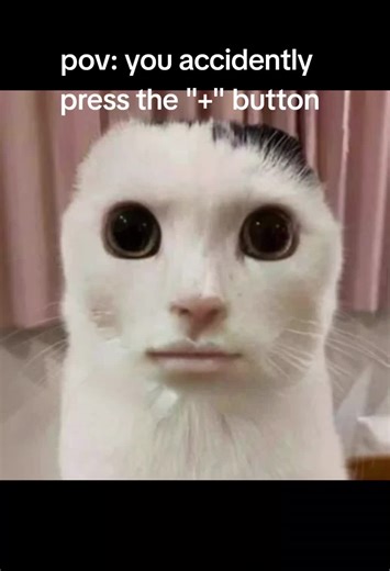 Accidental Plus Button Press: A Funny POV Moment