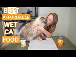 Top 2 Affordable (HIGH QUALITY) Wet Cat Foods 2025