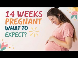 14 Weeks Pregnant – Baby’s Growth & Your Body Changes | 14 Weeks Pregnant