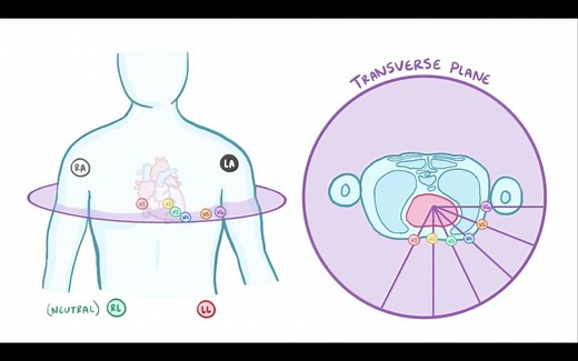 Comprehensive video coverage of pathology, physiology, pharmacology, and clinical reasoning! | Osmosis from Elsevier