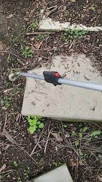 how to easily kill oxalis yellow wood sorrel soursop bermuda buttercup invasive weed using fire
