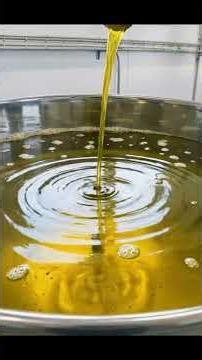 Amazing Olive Oil Production | From Farm to Bottle