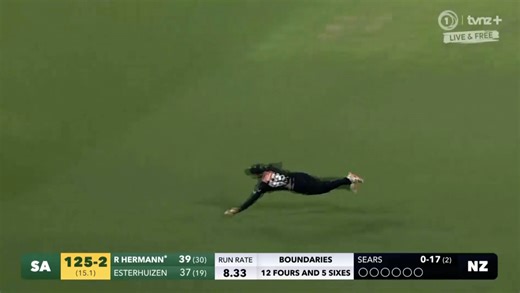 Nick Kelly takes catch of the summer contender against South Africa