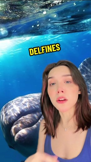 La oscura realidad de los delfines: datos perturbadores
