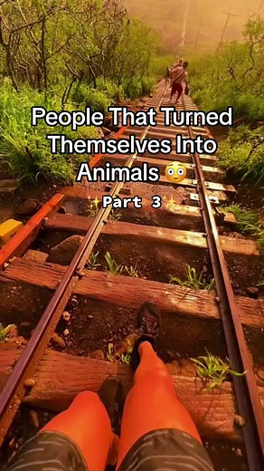 People That Turned Themselves Into Animals 😳 #fyp #xyzbca #viral #fypシ #foryoupage #incredible #interesting