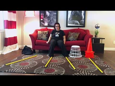 DIY Cavaletti Course For Dogs | Dog Training Nation