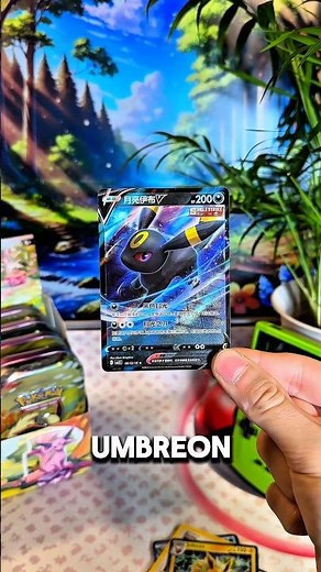 I’m GIVING Away an Umbreon V & Vintage Pokémon Cards to Celebrate 5000 Subs! #pokemon
