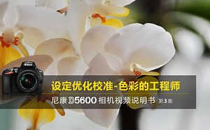 尼康D5600视频教程——设定优化校准|尼康D5600说明书第3集