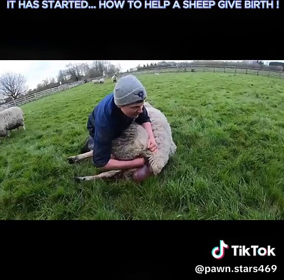 Pawn Stars on TikTok