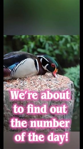 Why Everyone is Buying "Fake" Logs: Hidden Uses for Your Home & Garden