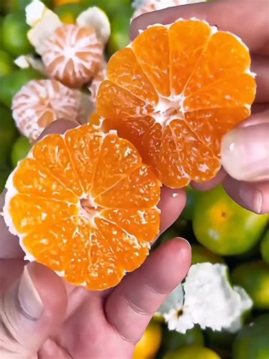 Explore the Benefits of Organic Fruits for Health