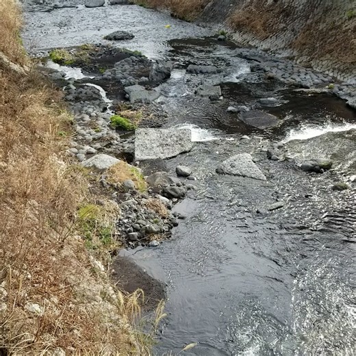 西村 雅史 on Instagram: "Flickrに大石寺関係の写真動画を20枚追加しました。なお著作権は私にありますが、ご利用等は自由です。 https://www.flickr.com/search/?user_id=202997715@N08&view_all=1&text=大石寺"