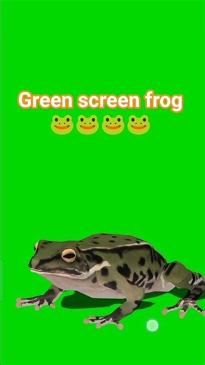 #frog #greenscreen #animation #creater ,🐸🐸🐸🐸
