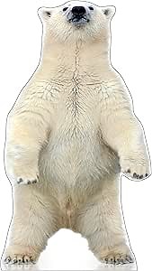 Life Size Cardboard Cutout Standup | Waterproof | Animals - Polar Bear -B