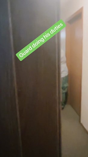 #dndmeme #vachammer #dnd #ttrpg #sneak #rogue #nat1 #nat20 #roleforinititive #oops #funny #fatman #dndtiktok #ttrpgtok #dnd5e #funny #humor #foryoupage #fyp #xybca #foryou #viral #dndhumor #ttrpgmeme