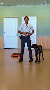 72K views · 688 reactions | Check out this two part obedience training video to challenge your dog's mind! Whether you have multiple dogs or a friend with a dog, you can work on obedience together. Let's keep our dogs sharp and engaged during the heat of the summer!  #dogtraining #obediencetraining #challengeyourdog | Standing Stone Kennels | Facebook