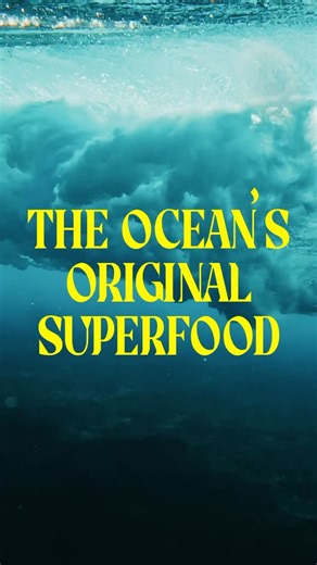 Small fish. Big impact. Sardines deliver unmatched nutrition while keeping ocean ecosystems thriving. | Wild Planet Foods