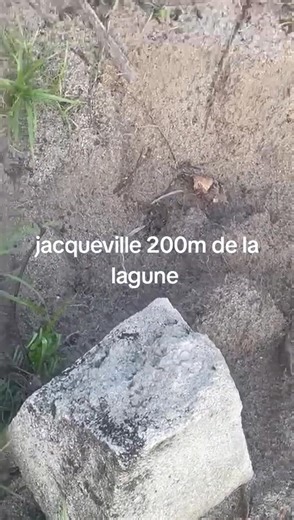 Liesse Diomande Namonty on Reels