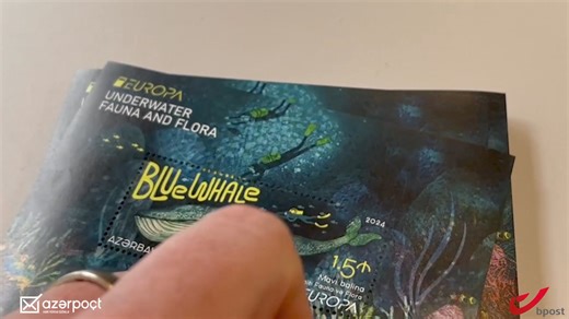 We are all familiar with #PostageStamps but do you know how they are produced? 🤔 Azərpoçt and bpost will show you👇 The posts have recently started collaborating in the field of #stamp printing🖨 The first result of this partnership is the Azerbaijani EUROPA 2024 stamp, which was printed in Belgium and which features the #BlueWhale, reflecting the theme of this year’s #EUROPAstamps series dedicated to underwater fauna and flora🐳 Once abundant in the Earth’s oceans, in 2018, the blue whale was 