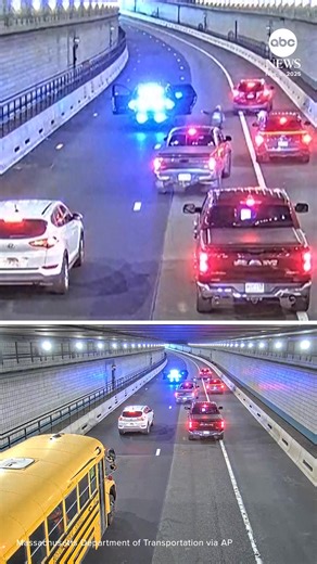 A dog trotting through Boston's busy Ted Williams Tunnel narrowly missed being hit by traffic before state police rescued the wrong-way rover. Surveillance video shows the pup heading toward oncoming vehicles before state police vehicles stopped and a trooper beckoned to the dog. The dog ran away from the officer but later hopped into the back seat of a cruiser. https://abcnews.link/iLxJix0 | ABC News