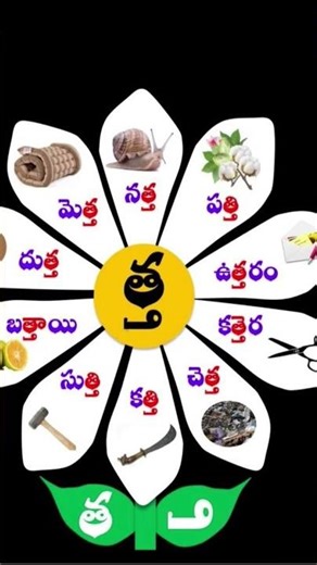Learn Telugu Words with Pictures | Easy Telugu Vocabulary for Beginners 🌸
