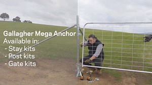 76 reactions · 26 shares | Gallagher Mega Anchor is the fast and easy to install, permanent fencing solution that can be installed by anyone, anywhere. Backed by a 15 year warranty, Gallagher Mega Anchor is quick and easy to install but built to last. Ideal for use as a total solution with Gallagher Westonfence, Insulated Line Post Electric Fence or other fencing systems. For more information, speak with us on 1800 425 524. | Gallagher Animal Management | Facebook