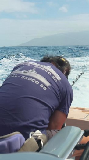 19K views · 2.5K reactions | You can hear David’s excitement behind the camera for this one! DWMND. Full 1-hour film documenting the Blue Marlin World Cup now available on the BADCO YouTube Channel. | Bad Company Fishing Adventures | Facebook