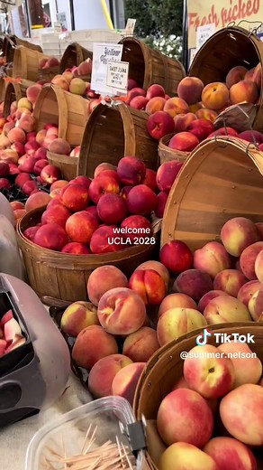 ur blessed #ucla2028 #ucladecisions #uclabound