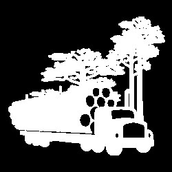 Responsible Forest Management | WWF Forest Solutions