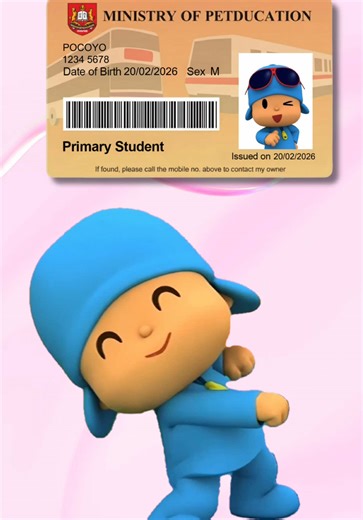 Custom Pet Plushie Identity Cards for Your Wallet