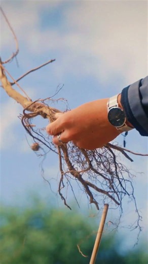 Meet Pauline. Her office looks like this.