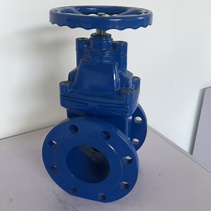 [Hot Item] Z45X Soft EPDM Wedge Gate Valve From Btval China