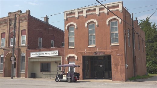 Cambridge Natural History Museum celebrates first anniversary