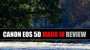 Canon EOS 5D Mark IV Review
