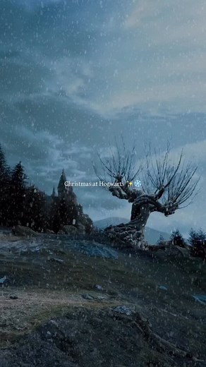 47K views · 3.2K reactions | Christmas at Hogwarts✨❄️ —— Harry...