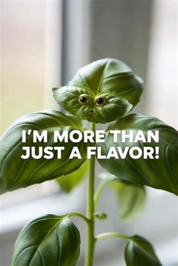 I’m Basil. 🌱 I'm More Than Just a Kitchen Herb! #health #herbs #basil