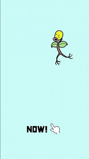 【公式】PokéMinutes｜Pokémon TAP Challenge