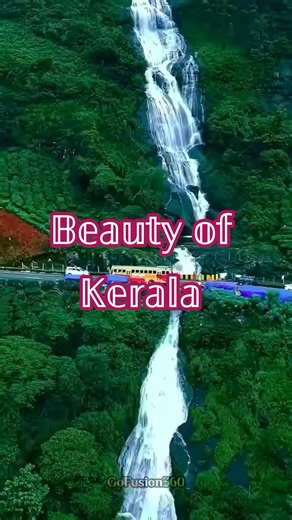 Beauty of Kerala in Monsoon 🥱 #shorts #keralatourism #youtubeshorts